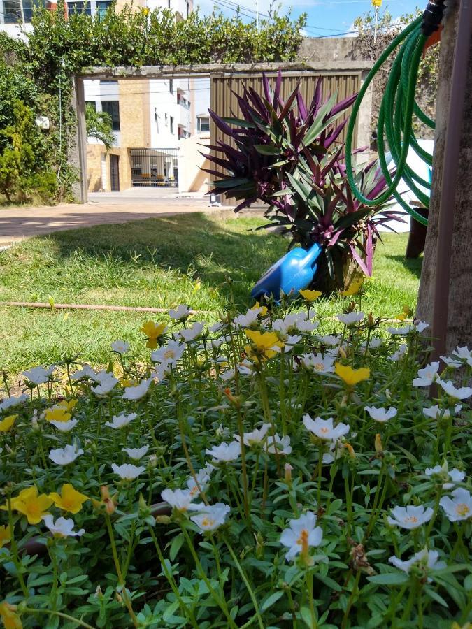Hostel Consciente Aracaju Eksteriør bilde